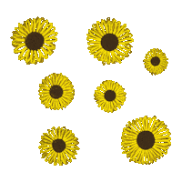 Tatilustras flower yellow flores flor Sticker
