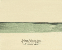 Calm Down Peace And Love GIF by Barbara Pozzi