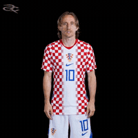 Fifa World Cup Uefa GIF by Respective