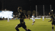 Usl Championship Soccer GIF by Charleston Battery