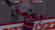happy ice hockey GIF by NHL