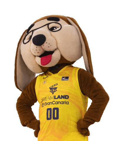 Dog Basket Sticker by Grupo Newport