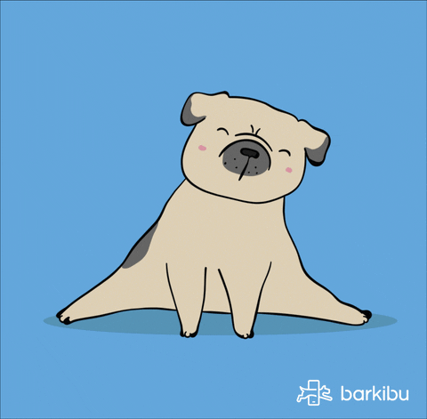barkibu_marketing giphyupload dogs yoga doga GIF