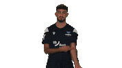 Karlsruher Sc Vbl Sticker by Bundesliga