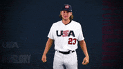 Pro GIF by USA Baseball