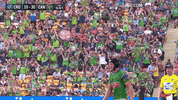 Try Nrl GIF by Canberra Raiders