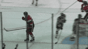 goal yes GIF by Ottawa 67's