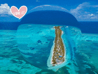 Germany Wow GIF by FranchiseONE.de