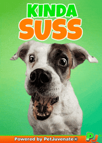 Henlo Hooman Fren GIF by PetJuvenate - PJ