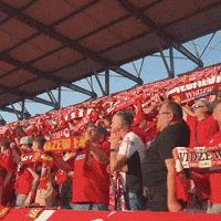 Football Soccer GIF by Widzew Łódź