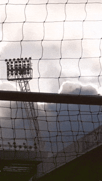 West Brom Stadium GIF by West Bromwich Albion