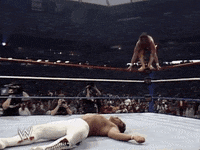 wrestlemania iii wrestling GIF by WWE