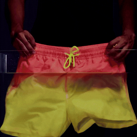 matteopellegrini24 giphyupload GIF