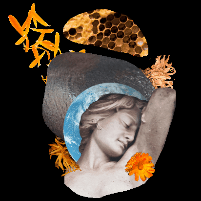 BloominAxilla giphygifmaker giphygifmakermobile GIF