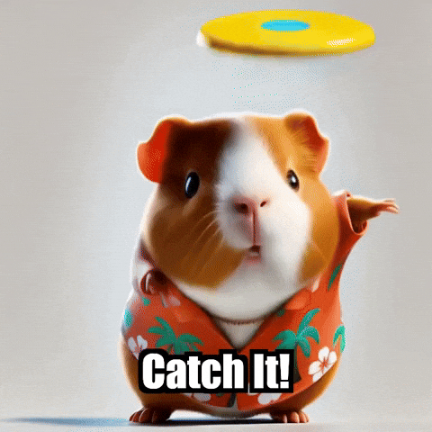 Catch It Guinea Pig GIF by Guinea Gambino