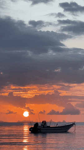 GIF by Learner Circle