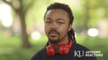 ku jayhawks GIF by University of Kansas