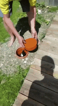 gardening GIF