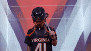 Uvamenslax GIF by Virginia Athletics