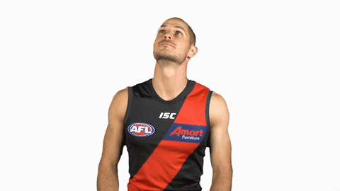 essendonfc giphyupload dons bombers essendon GIF