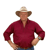 Renovate Channel 9 Sticker by The Block