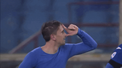 Serie A Football GIF by Sampdoria