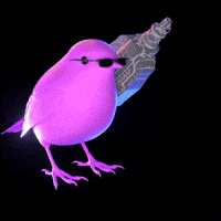 Pink Bird GIF