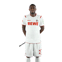 1 Fc Cologne Bundesliga Sticker by 1. FC Köln