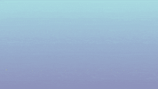 Vcb000008Pp GIF
