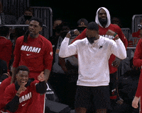 Bam Adebayo Game GIF by Miami HEAT