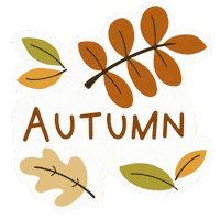 Autumn Leaves Fall Sticker