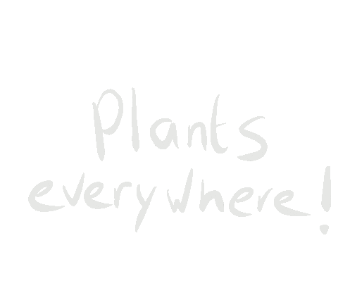 hortusamsterdam plants botanical hortus hortusamsterdam Sticker