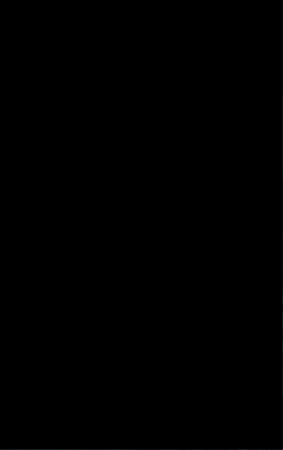 GIF animado