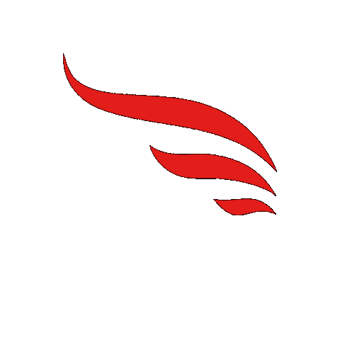 HaydenSynchro giphygifmaker teamusa iceskating synchro Sticker