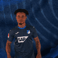 Sport Bundesliga GIF by TSG Hoffenheim