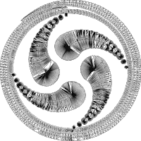 Trance Sticker by Bom Shanka Music