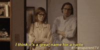 season 3 GIF by Transparent