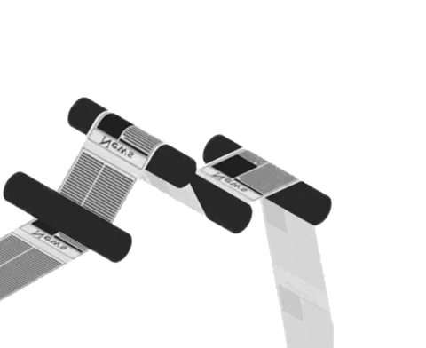 ehusson giphyupload GIF