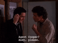 Season 2 Episode 21 GIF by Twin Peaks on Showtime