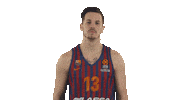 the badge basketball Sticker by EuroLeague