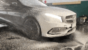 Eighty8Customs  GIF