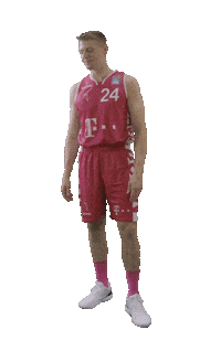 TelekomBaskets basketball no nein mist Sticker