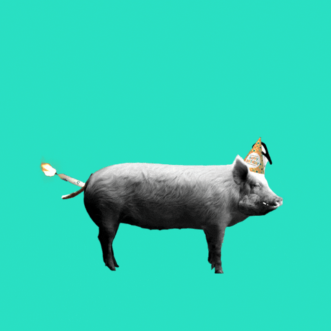 Digital art gif. A creepy black and white pig superimposed on a teal background wears a party hat and gives a weird grin as it says, “Happy Birthday!”. It then farts out flames and is propelled away from it’s flatulence.