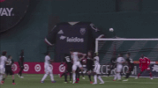 soccer mls GIF by D.C. United