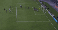 soccer mls GIF by D.C. United