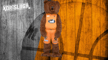The Bear Mascot GIF by Basket_fi