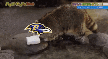 FanDuel reaction sports football meme GIF