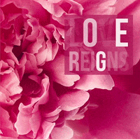 Love Roses Jesus Victoriabea4 Happy Thinkingofyou Justforyou GIF