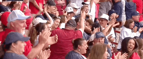 World Series Baseball GIF by NCAA Championships