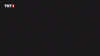 Teşkilat Logo